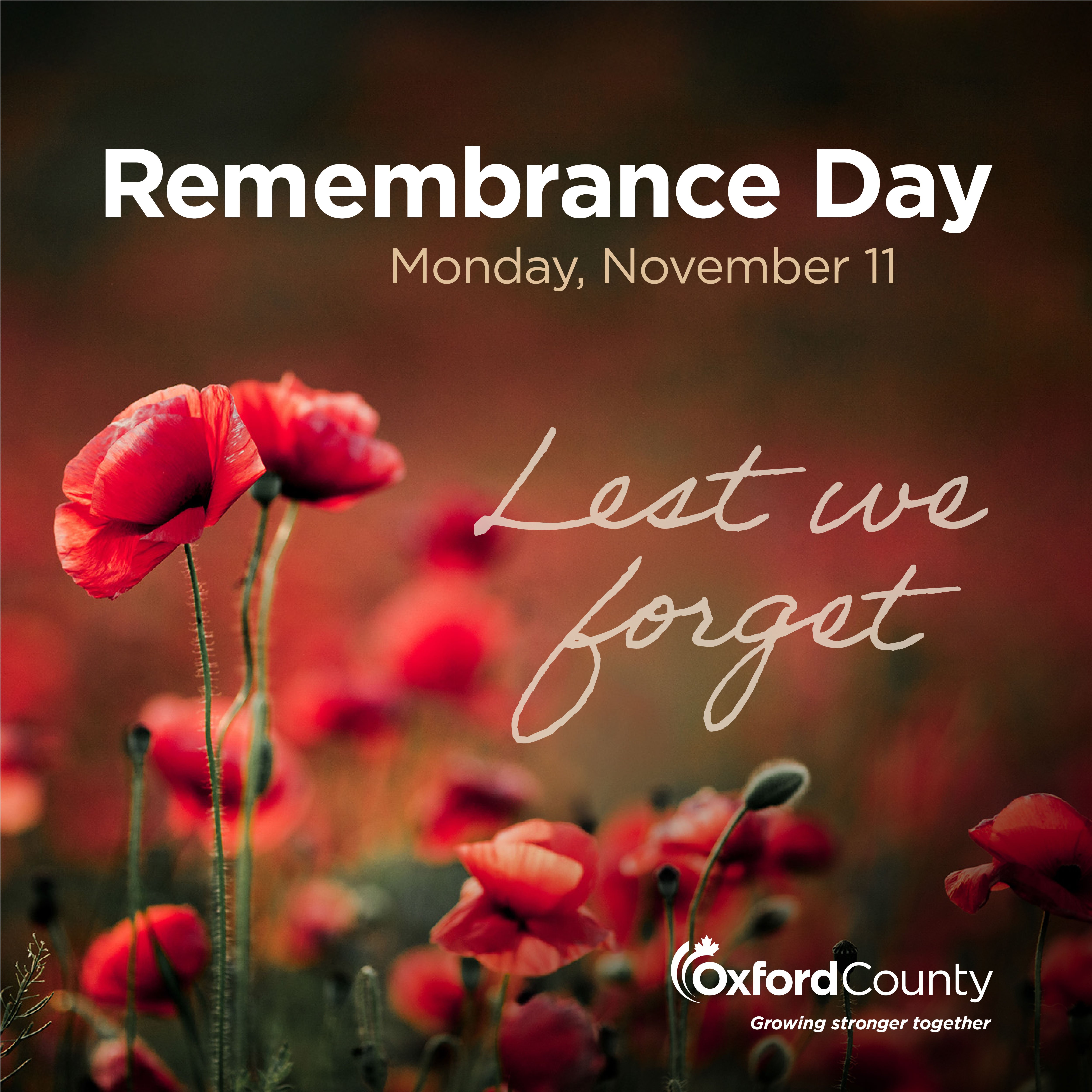 Remembrance Day Lest we Forget graphic 