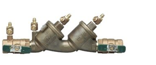 Photo of Double Check Valve Assembly (DCVA) 