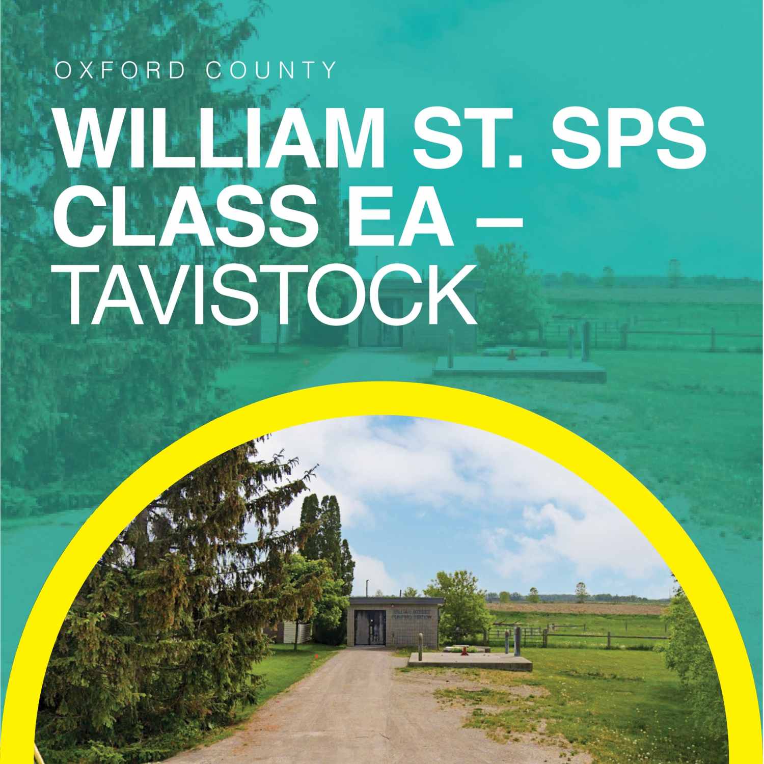 William Street SPS graphic