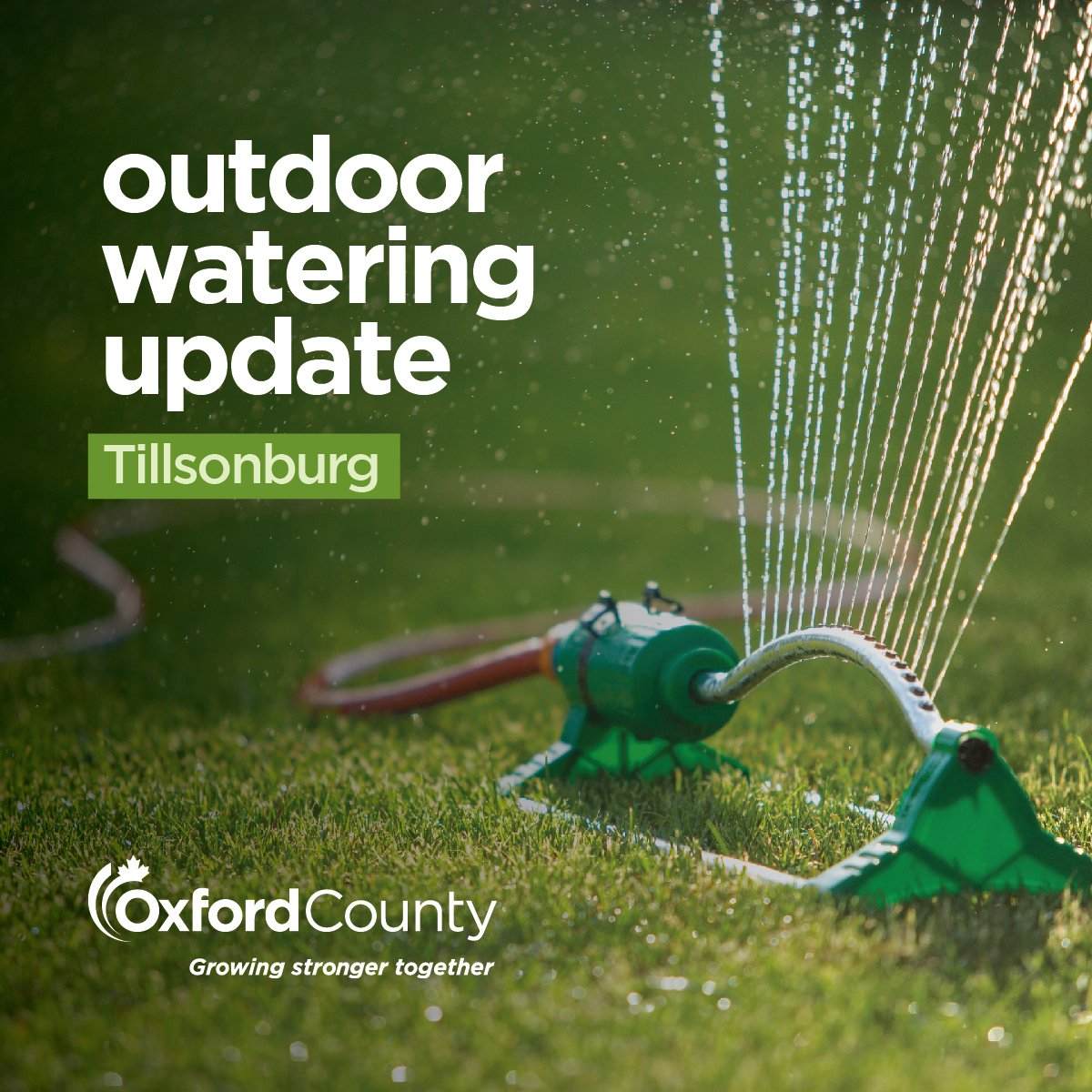 Watering update Tillsonburg